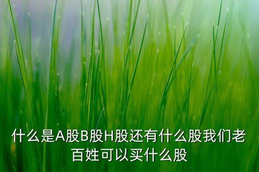 什么是A股B股H股还有什么股我们老百姓可以买什么股