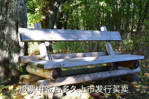 英维克股票什么时候发行，股票英博尔什么时候上市