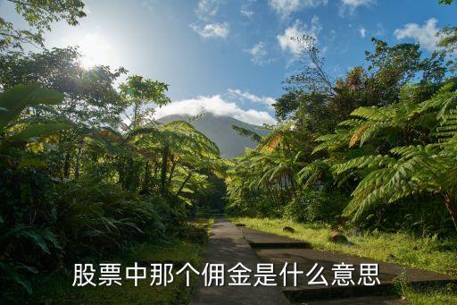 股票中那个佣金是什么意思