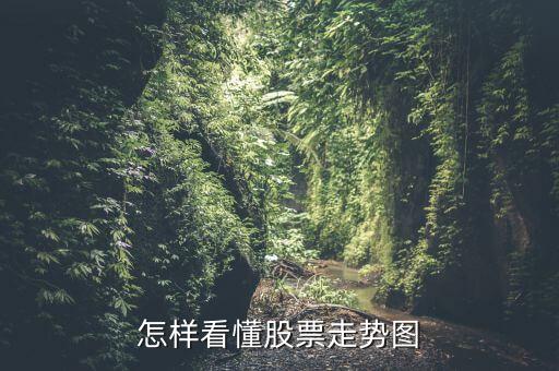 怎样看懂股票走势图