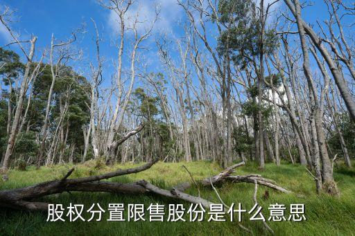 股权分置限售股份是什么意思