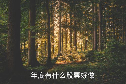今年年底适合投资什么股票，年底了该买啥股好呢