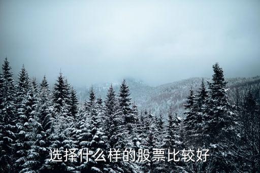 选择什么样的股票比较好