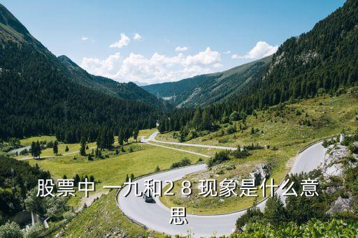 股票分时图里9什么意思，股票中 一九和2 8 现象是什么意思