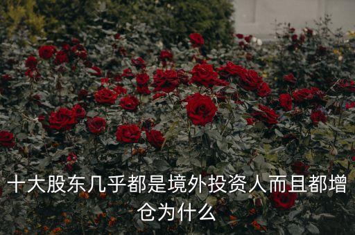 十大股东几乎都是境外投资人而且都增仓为什么
