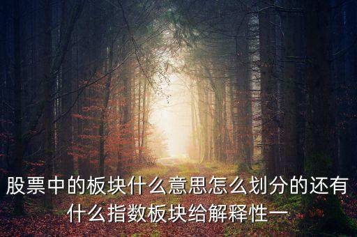 股票中的板块什么意思怎么划分的还有什么指数板块给解释性一