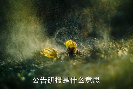 公告研报是什么意思