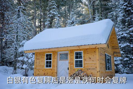 有色股票什么时候复盘，请问股市什么时候复盘交易