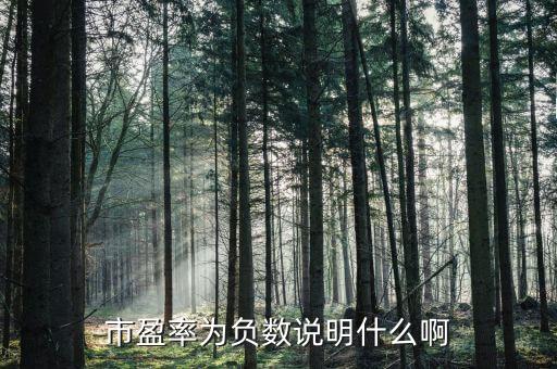 市盈率为负数说明什么啊