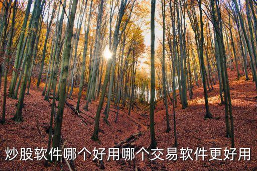 炒股软件哪个好用哪个交易软件更好用