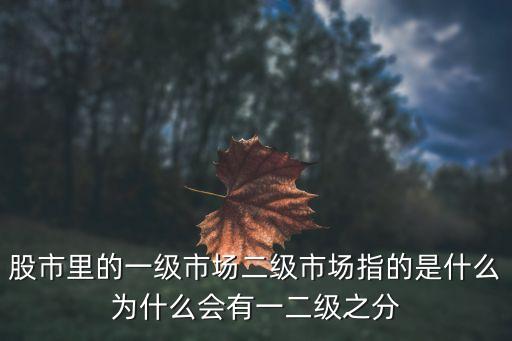 股市里的一级市场二级市场指的是什么为什么会有一二级之分