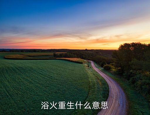浴火重生什么意思