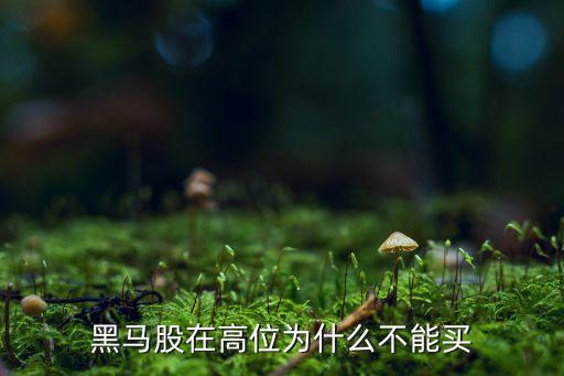 黑马股在高位为什么不能买