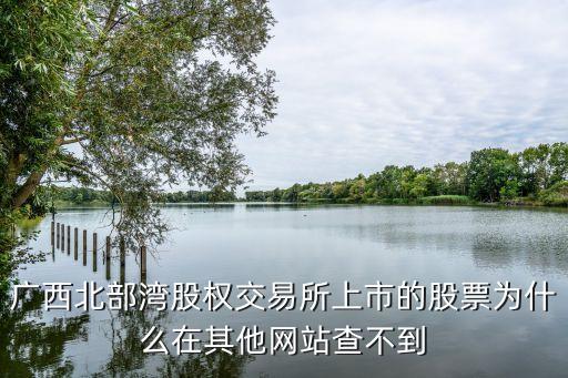 北交所股票为什么不显示，股票不显示怎么回事