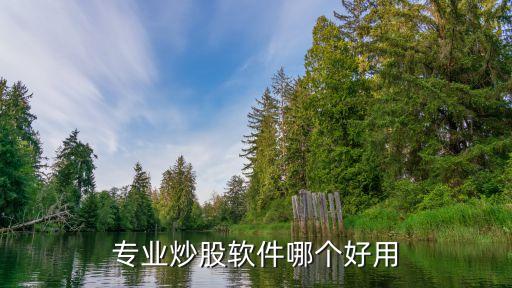 专业炒股软件哪个好用