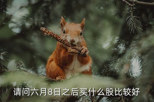 请问六月8日之后买什么股比较好
