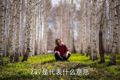 237是代表什么意思