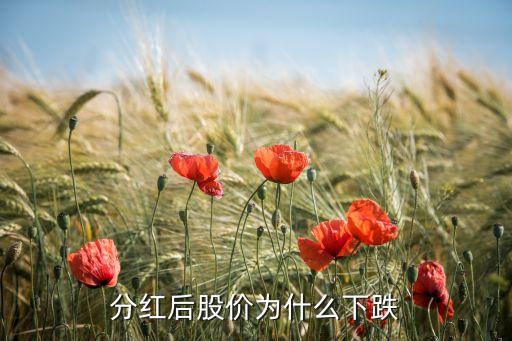 分红后股票为什么会降盘，分红后股价为什么下跌