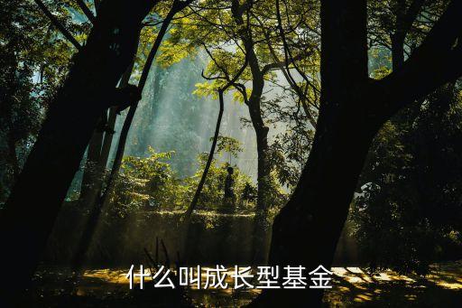 什么叫成长型基金