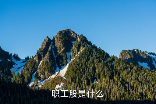 职工股是什么