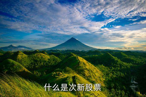 什么是次新股票