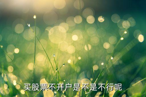 买股票不开户是不是不行呢