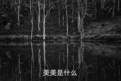 美美是什么股票的网络语，美美是什么