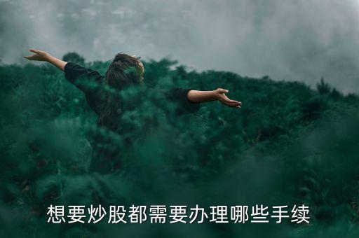 想要炒股都需要办理哪些手续