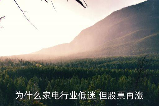 为什么家电行业低迷 但股票再涨