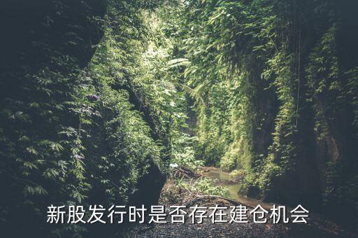 新股发行时是否存在建仓机会