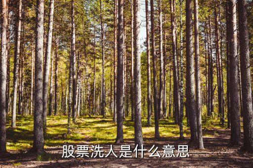 股票摔杯人是什么意思，股票洗人是什么意思