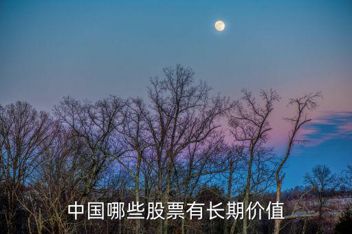 中国哪些股票有长期价值