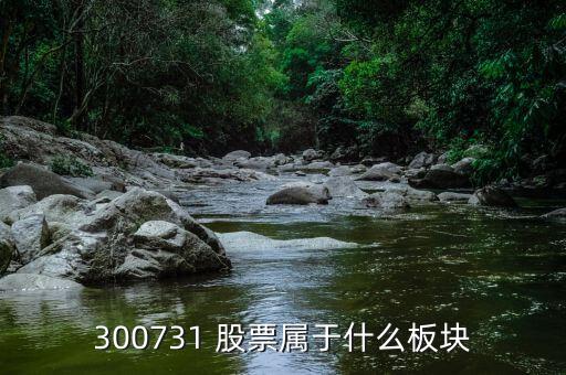 300731 股票属于什么板块