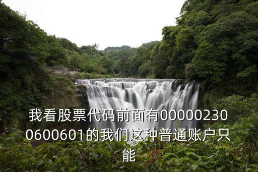我看股票代码前面有000002300600601的我们这种普通账户只能
