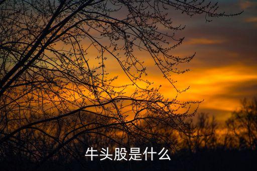 牛头股是什么