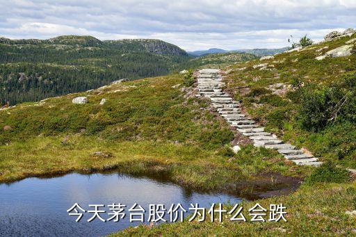 今天茅台股价为什么会跌