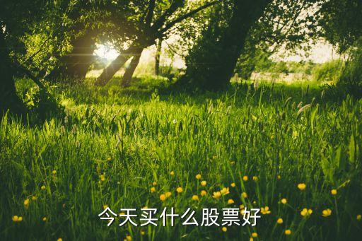 今天买什么股票好
