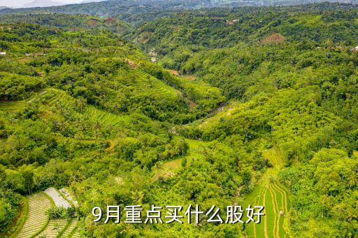9月重点买什么股好