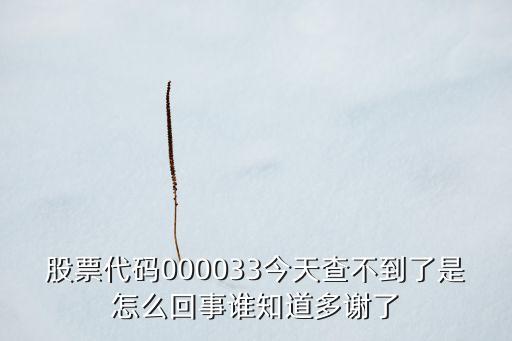 为什么浙江交科股票查不到，股票代码201455为什么我在个股当中查不到