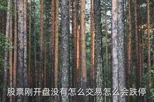 股票一开盘跌停是什么回事，开盘就跌停但成交量不大