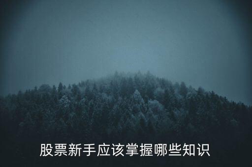 股票新手应该掌握哪些知识