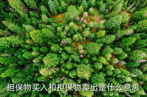 担保物买入和担保物卖出是什么意思