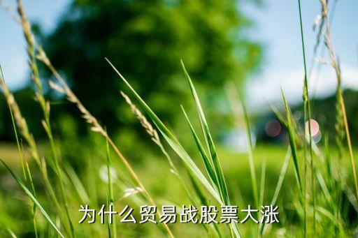 为什么贸易战股票大涨