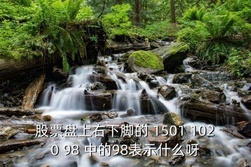 股票018是什么意思呀，股票盘上右下脚的 1501 1020 98 中的98表示什么呀