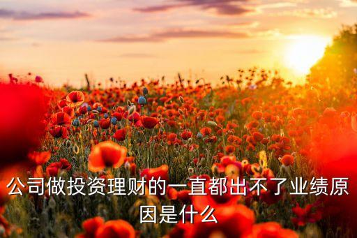 公司做投资理财的一直都出不了业绩原因是什么