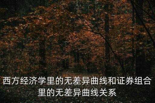 西方经济学里的无差异曲线和证券组合里的无差异曲线关系