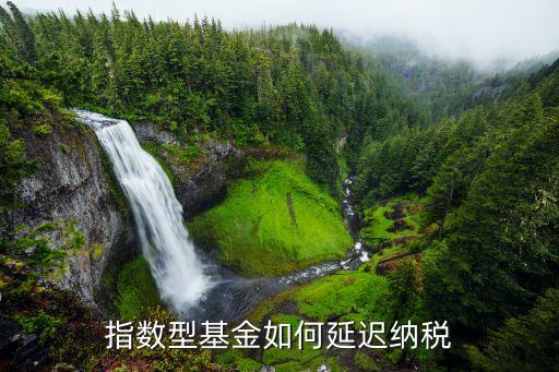 指数型基金如何延迟纳税