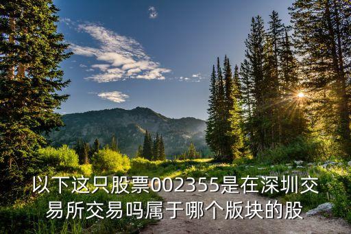 以下这只股票002355是在深圳交易所交易吗属于哪个版块的股