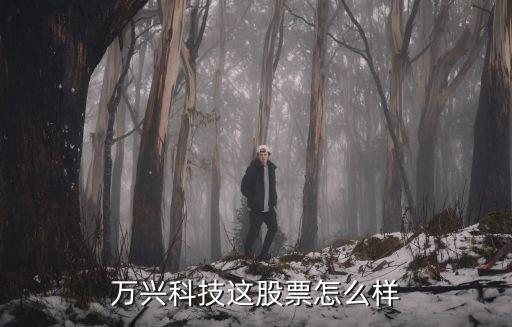 万兴科技这股票怎么样