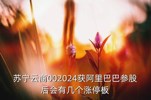 苏宁云商002024获阿里巴巴参股后会有几个涨停板